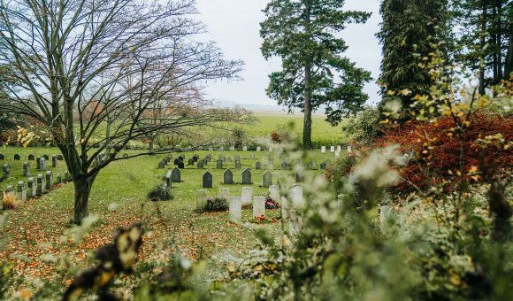 Le cimetière de Saint-Symphorien à Mons © J. Van Belle - WBI