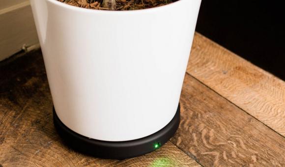 Kanopy 25 integrates sensors who allow to manage the optimal watering of your plants.