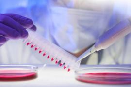 Cardio3 BioSciences: Wallonia's most innovative company Cardio3 BioSciences: Wallonia's most innovative company