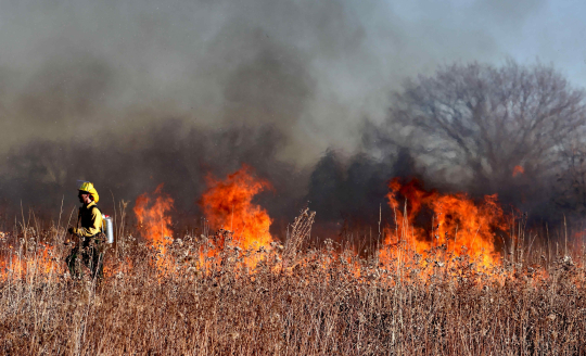 Wildfire-Firefighter_Image_by_Ted_Erski_from_Pixabay.jpg